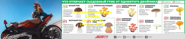 COCAINE Богородск