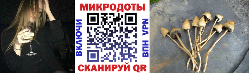 MEGA зеркало  Югорск  Галлюциногенные грибы прущие грибы 